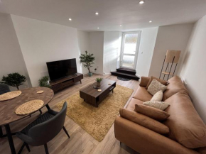 Large One Bed Basement Apartment